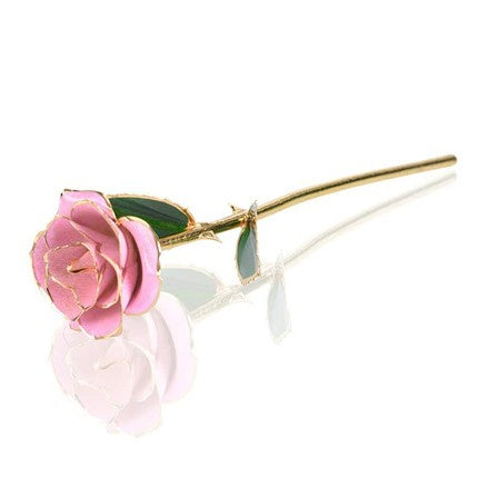 Gold Dipped Rose