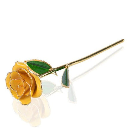 Gold Dipped Rose